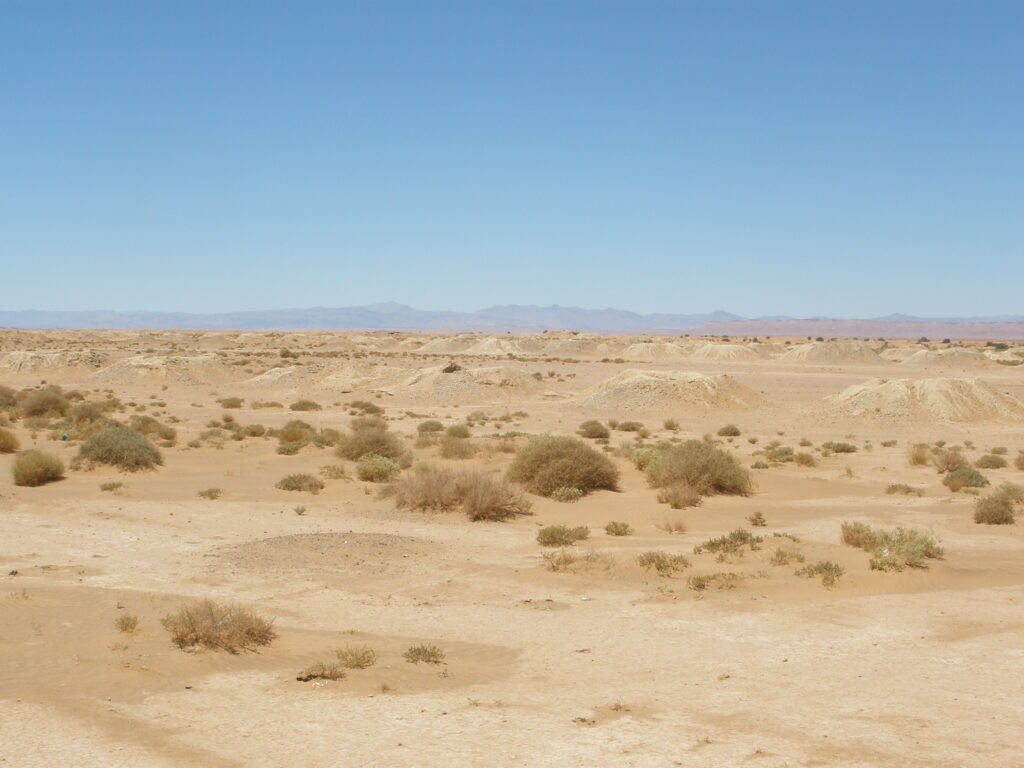 desert morocco