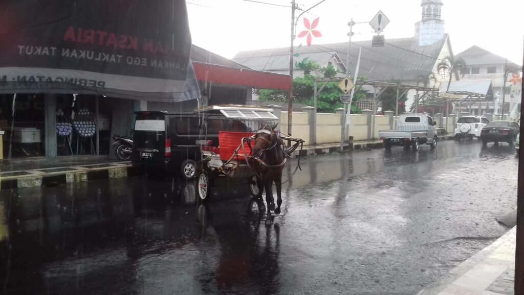 tomohon sulawesi