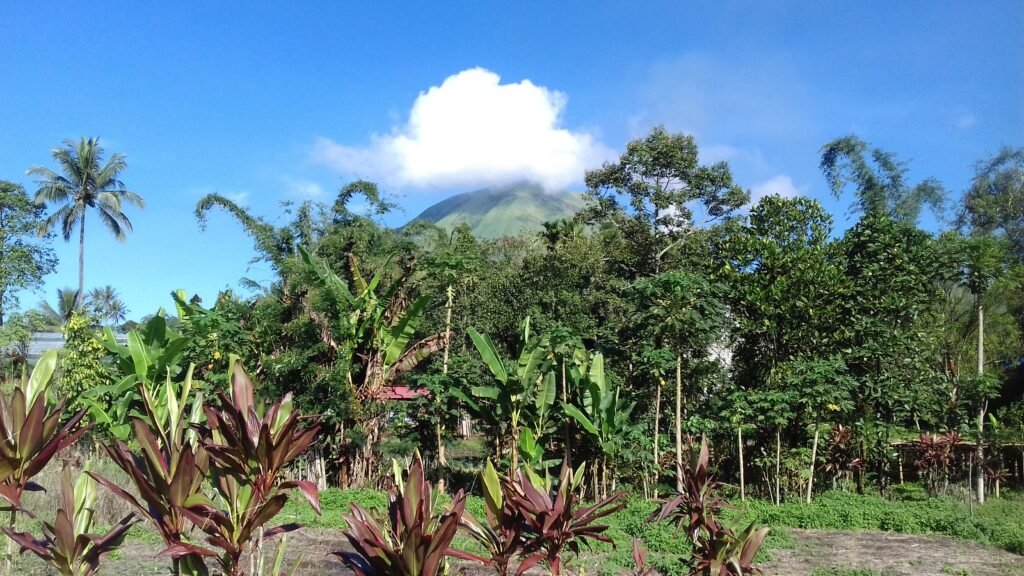 tomohon sulawesi