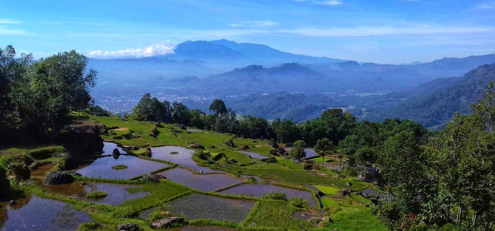 Peering Through: Tana Toraja and Life Under the Surface