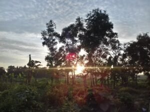 madura guide, pamekasan