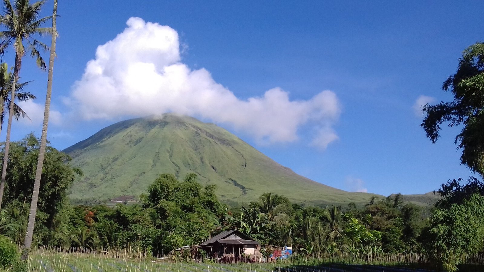 Explore Tomohon: North Sulawesi’s Highland Gem