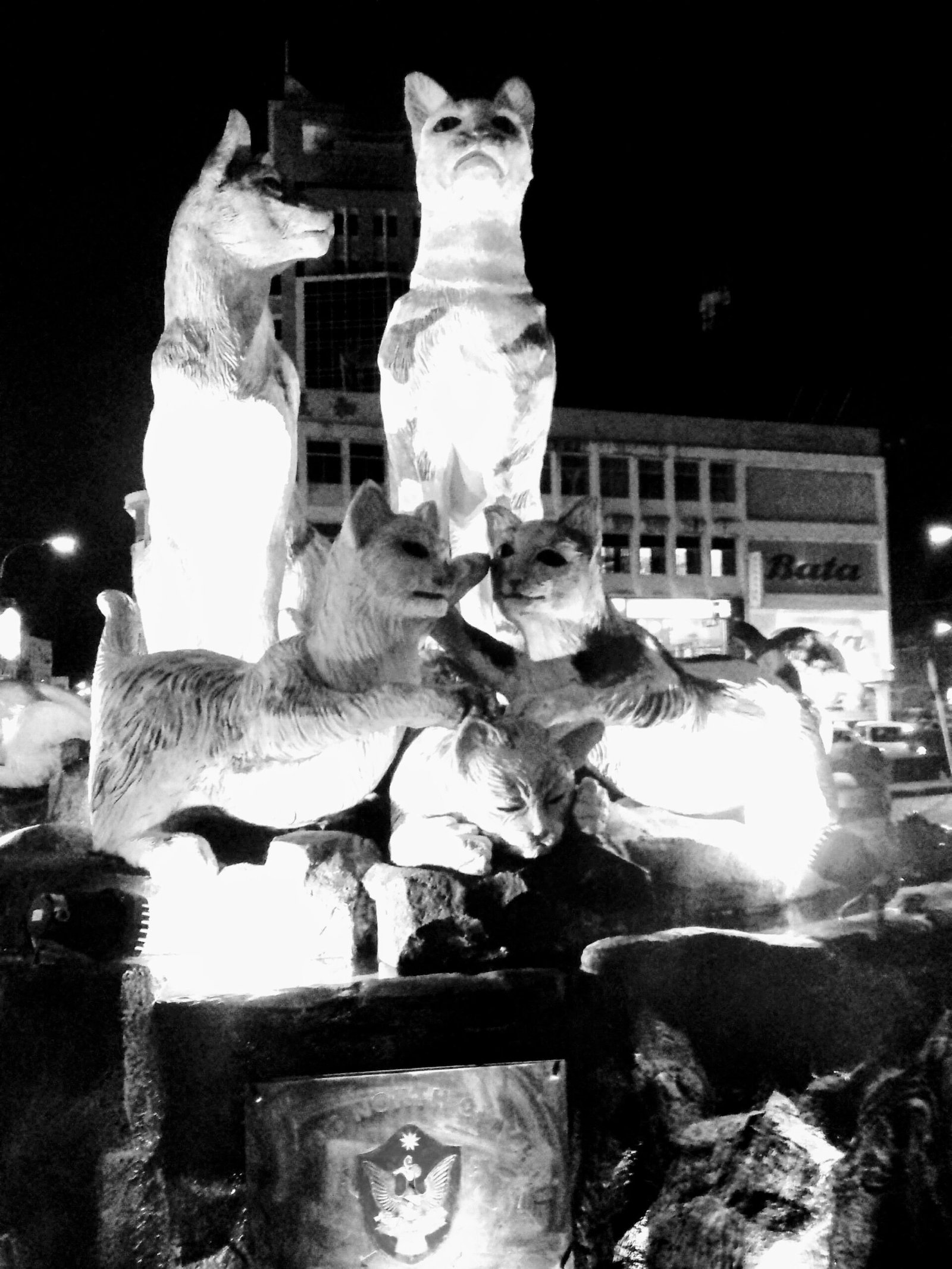 Cat City: Kuching’s Feline Fixation