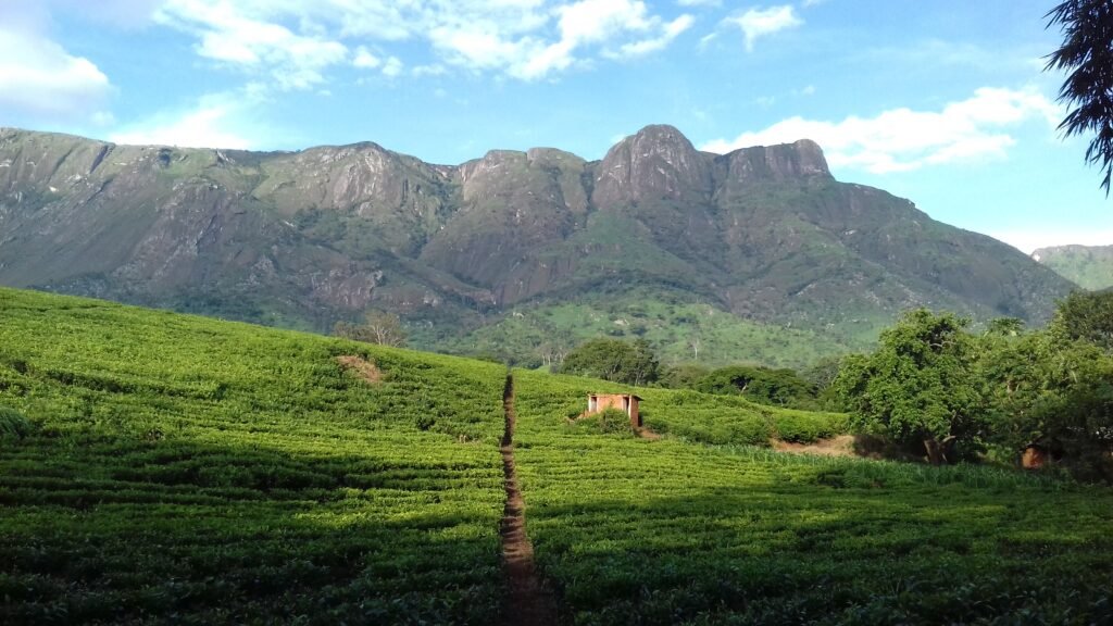 mulanje malawi