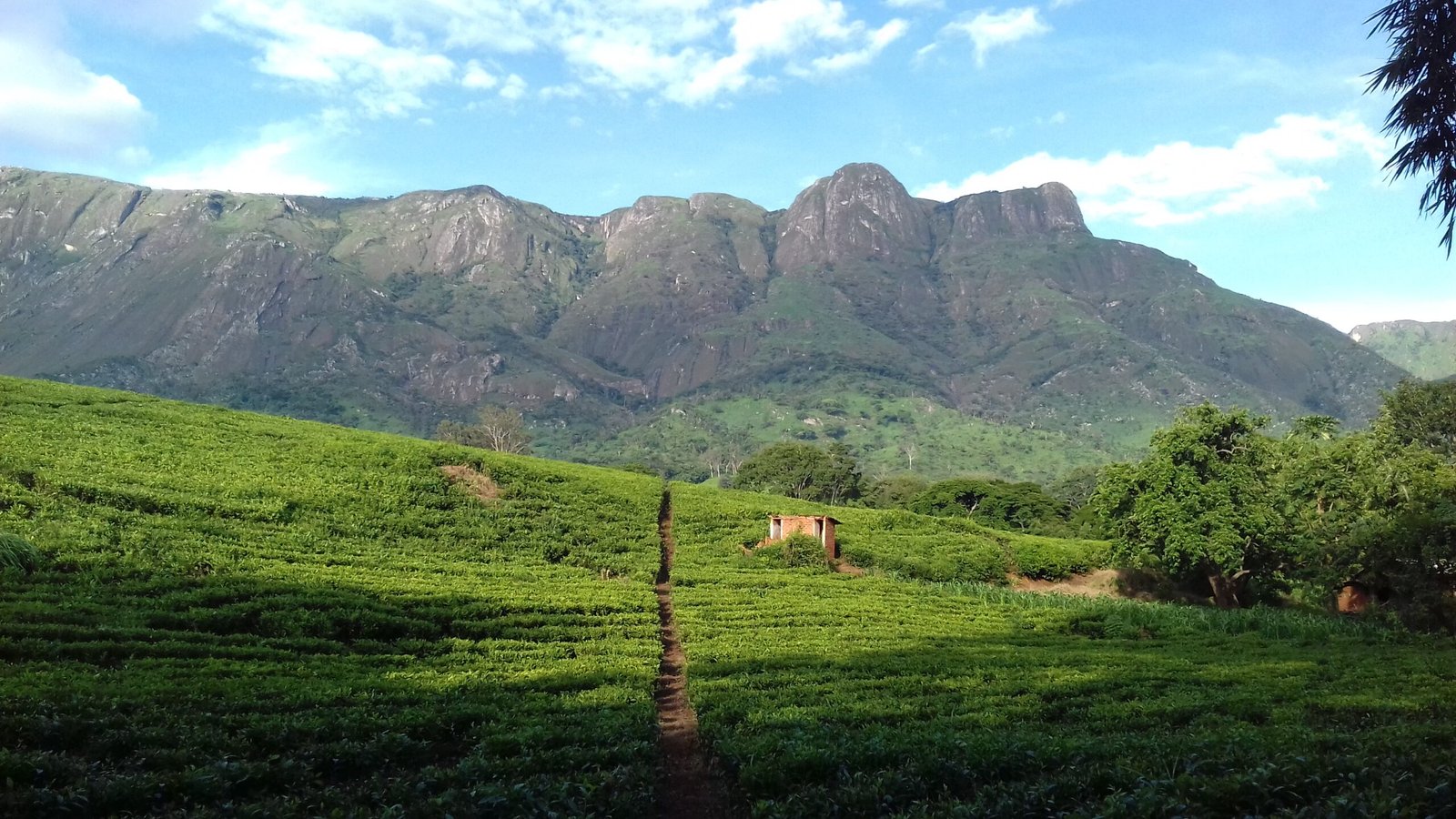 Mount Mulanje Stands Alone in Malawi