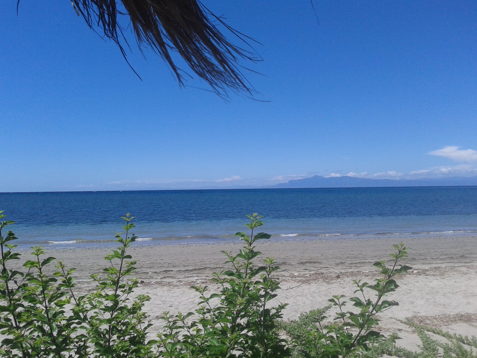 atauro island