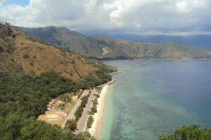 dili