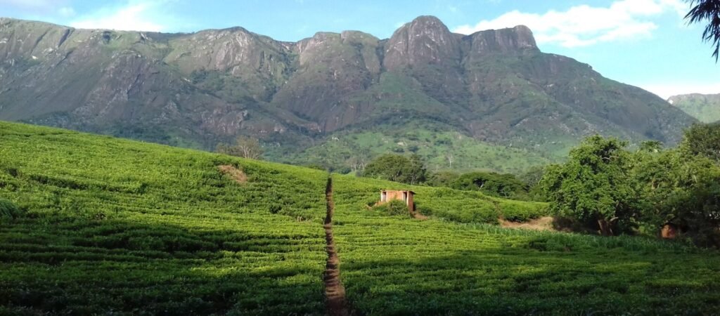 mount mulanje malawi