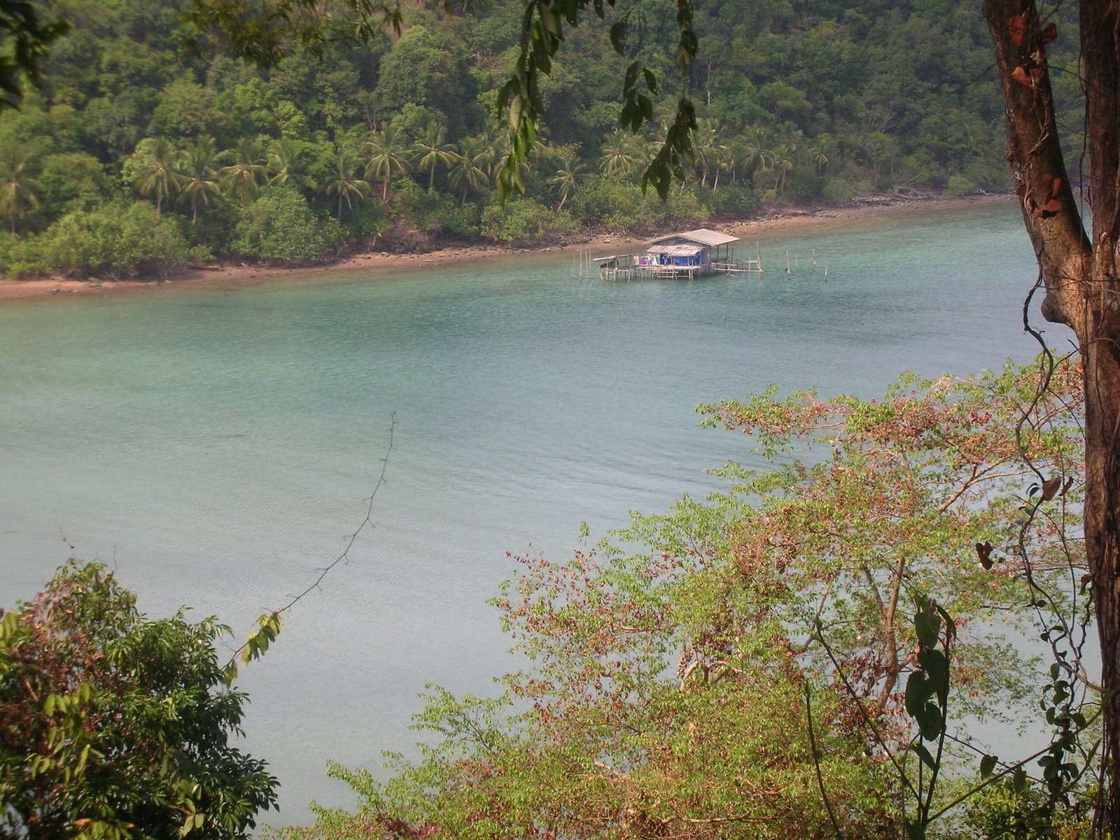 Koh Chang: A Fishy Learning Curve for Scurvy Landlubbers