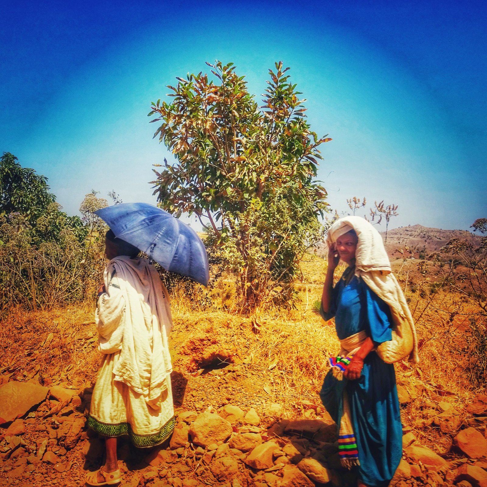 Take Shade: Escaping Extreme Heat in Ethiopia