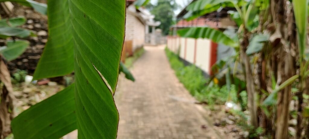 talango indonesia