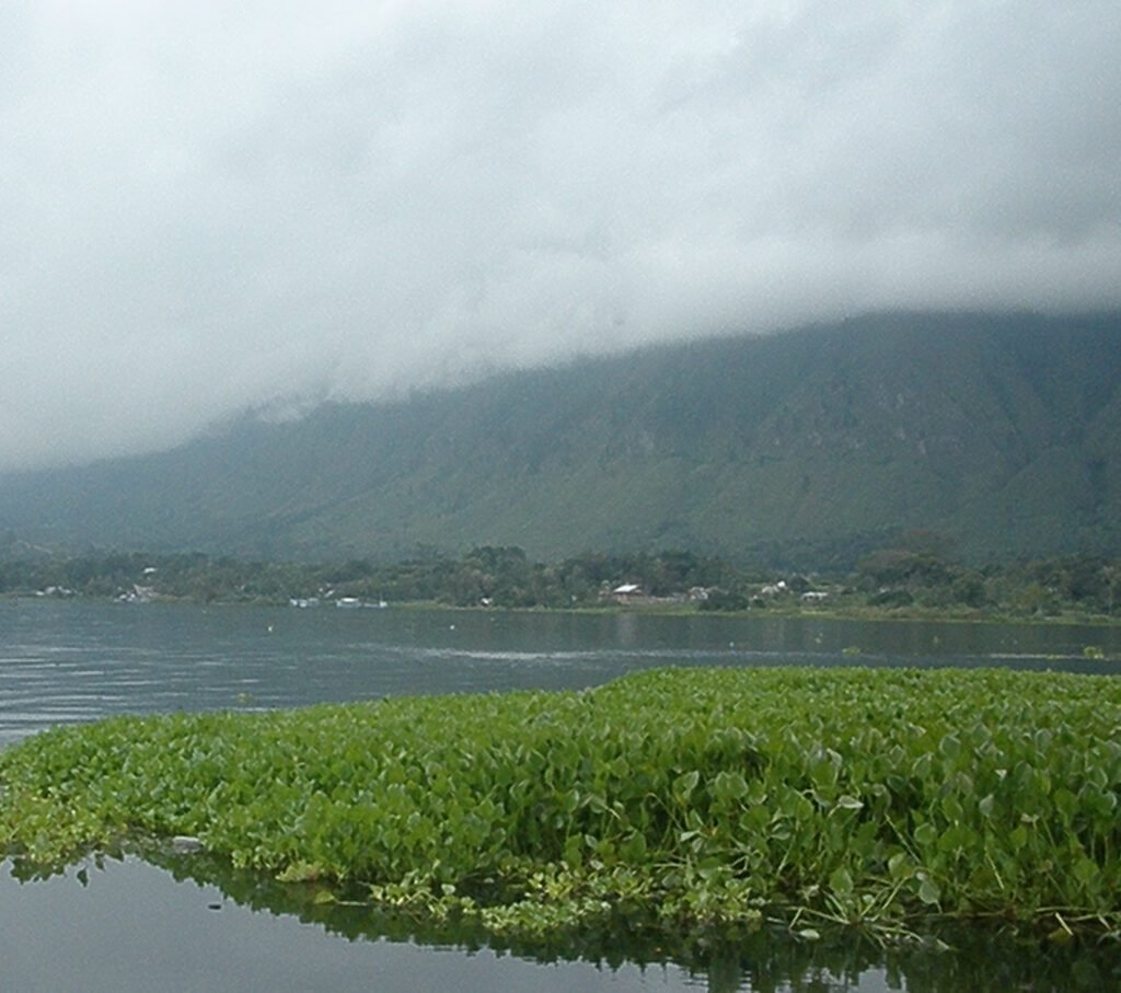 lake toba