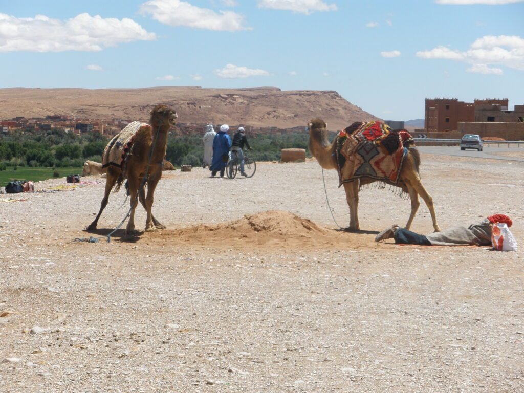 morocco road trip