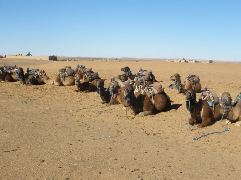 road trip in morocco