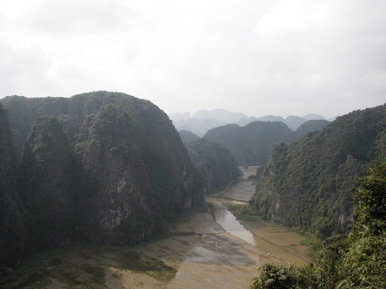 tam coc